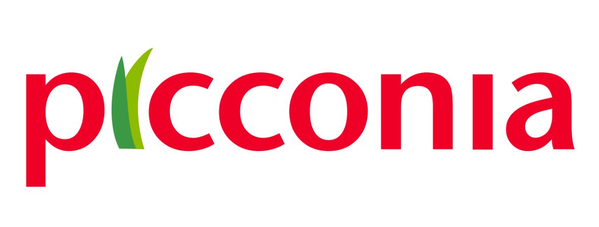 PICCONIA 2026